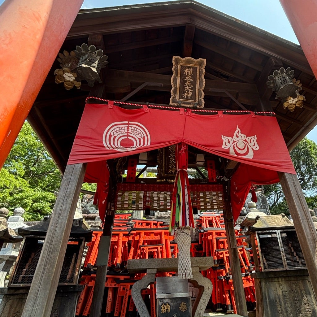 お導き頂いている権田夫大神さま
